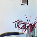 Mirela شقة *