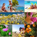 Mirela أوروبيتش