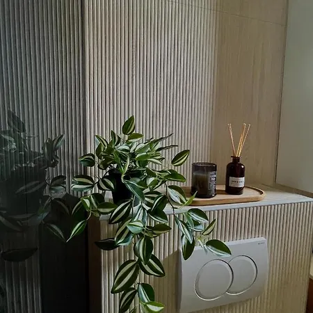 Mirela Apartment *
